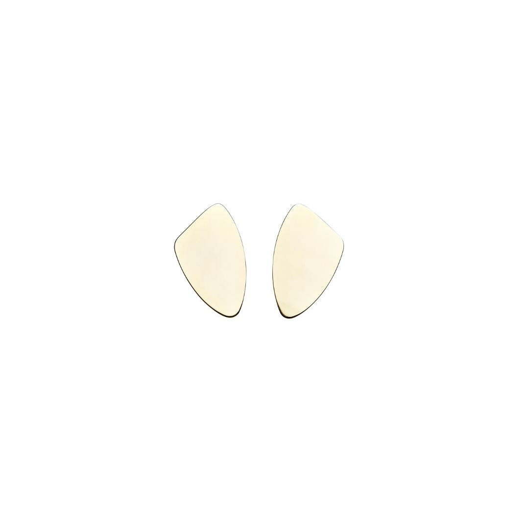 Aretes Amorfo Liso