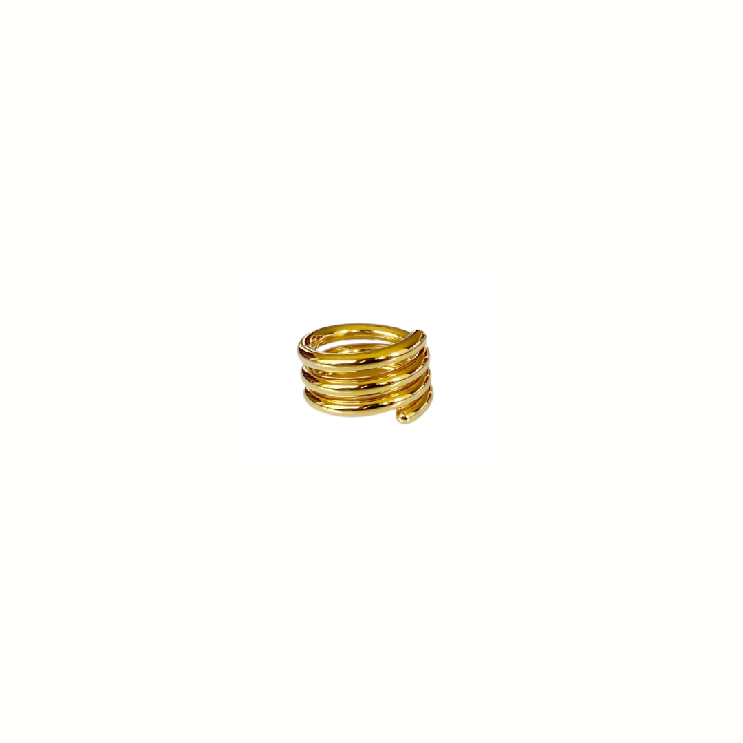 Anillo Resorte Doble