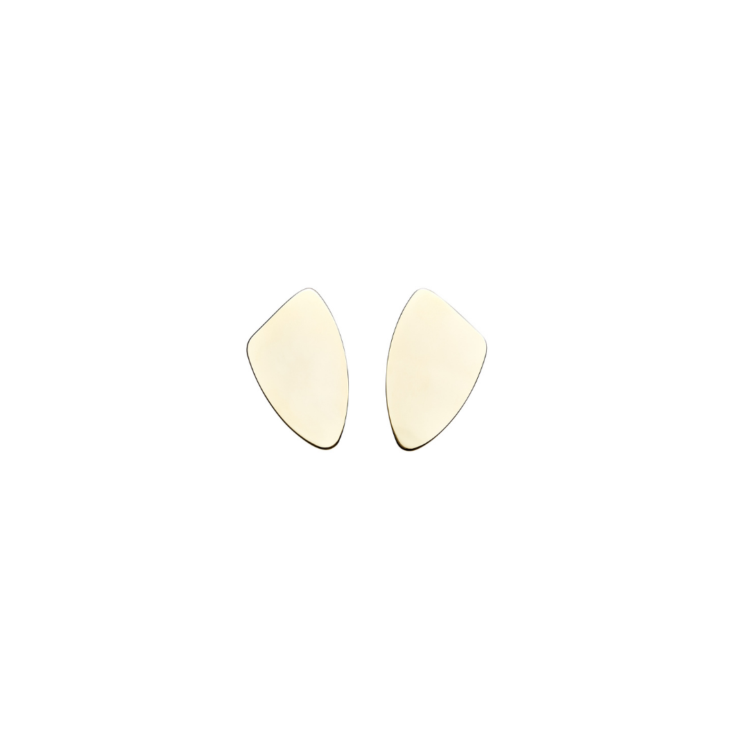 Aretes Amorfo Liso